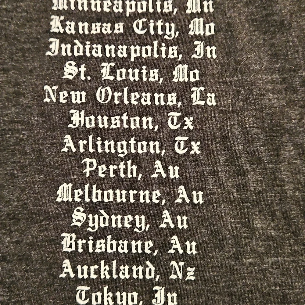 Taylor Swift  gray short sleeve graphic concert tee Med. REPUTATION tour dates - Picture 9 of 9